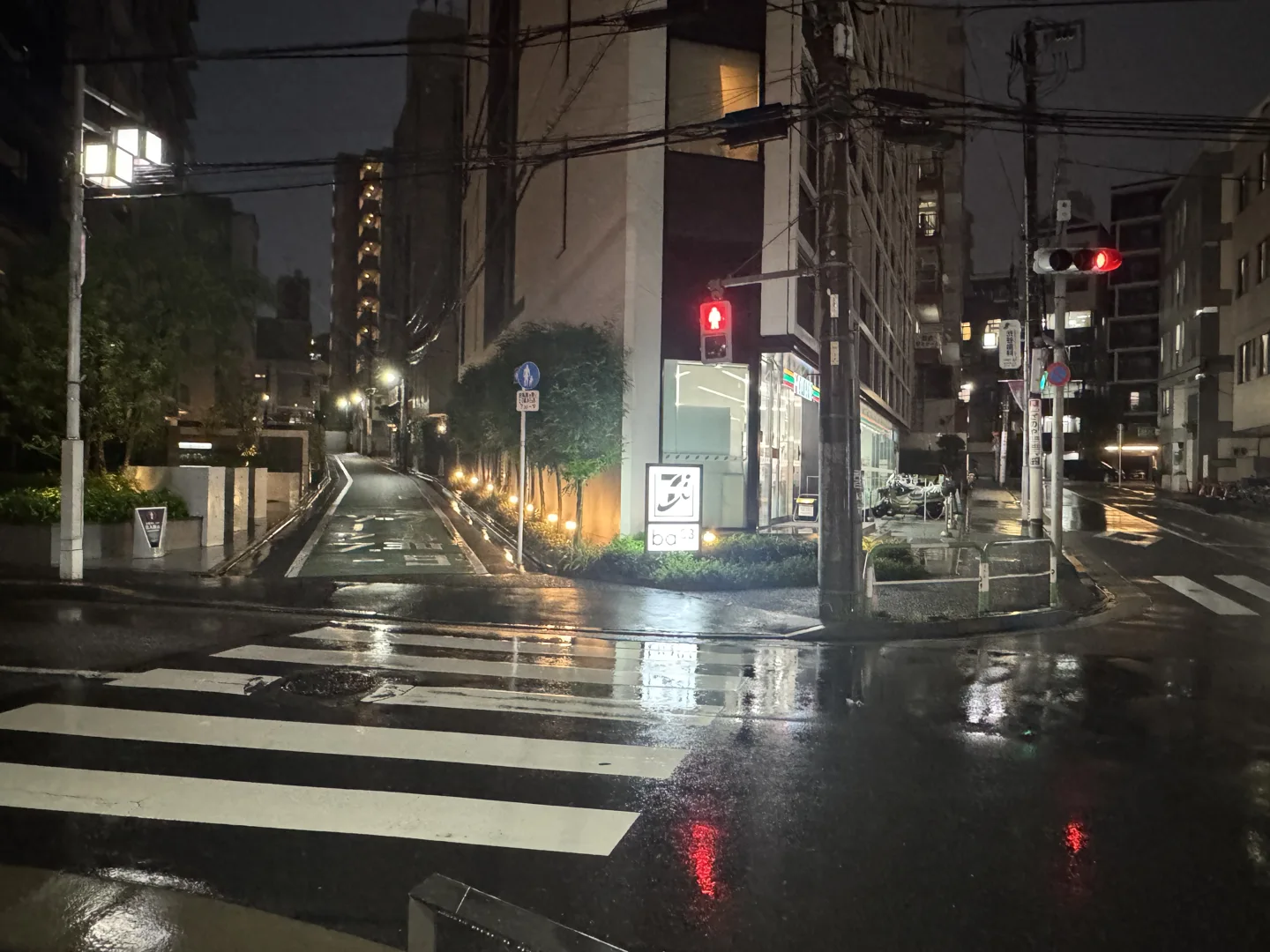 横断歩道と分岐・夜の目印