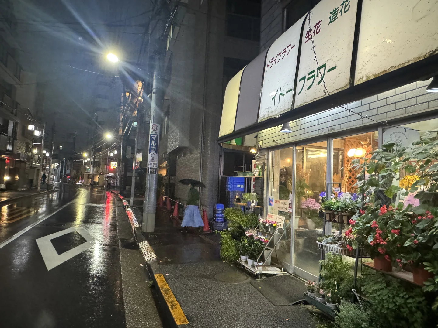 イトーフラワー・夜の目印